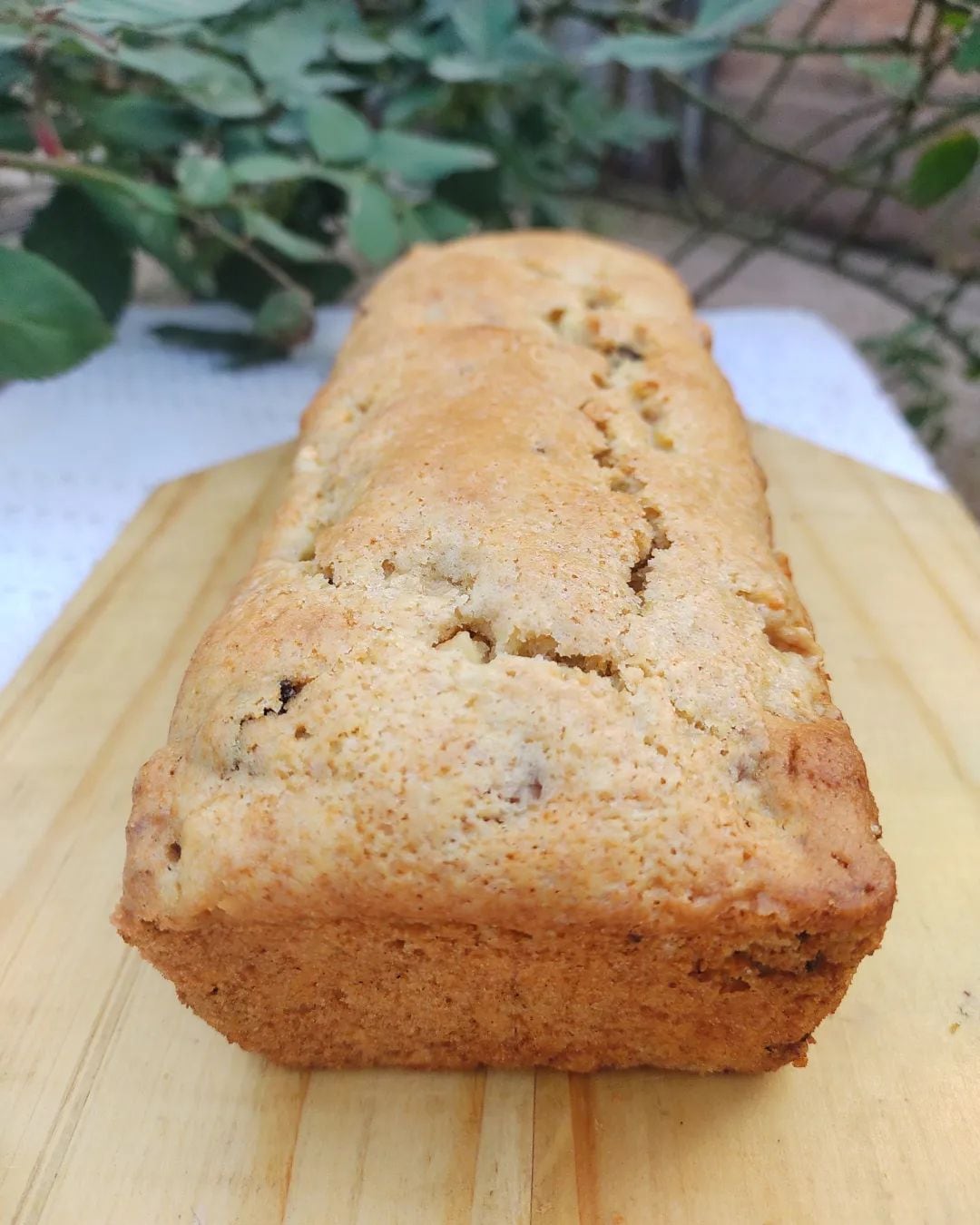 Budín de manzana y nuez sin TACC. Foto: comidascaserasysaludables.