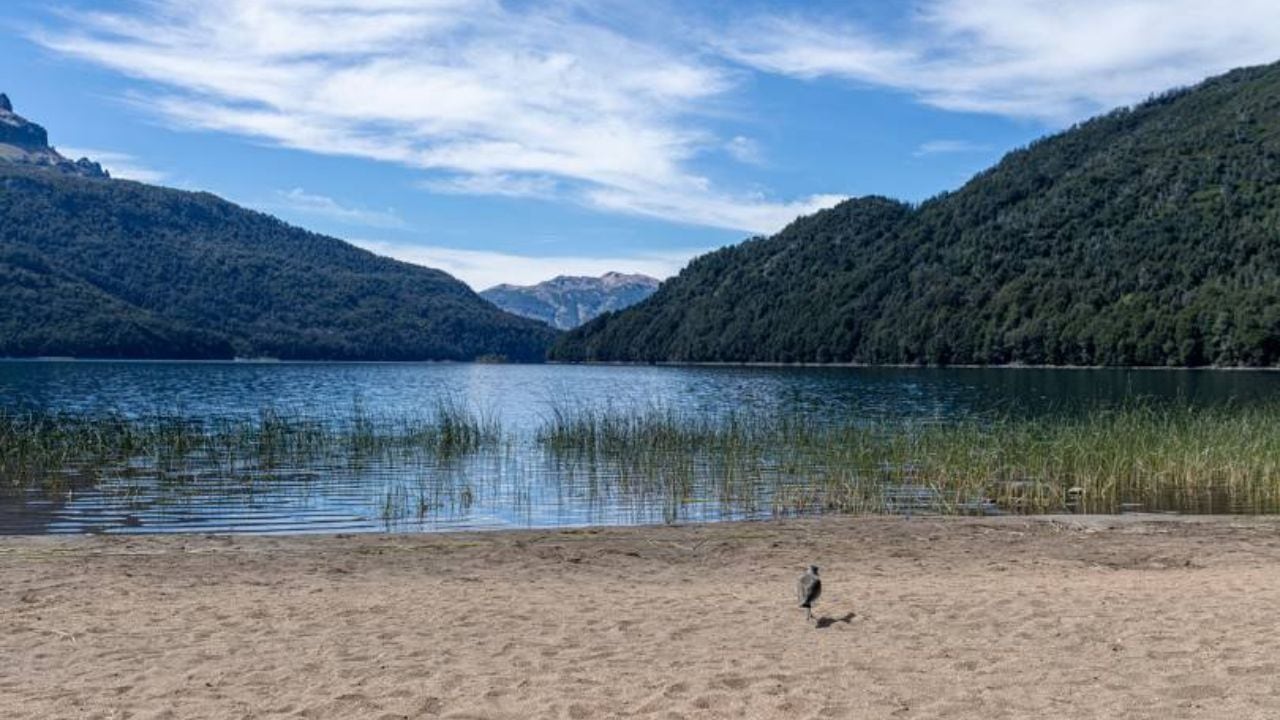 Lago Falkner, Nuequén. WEB