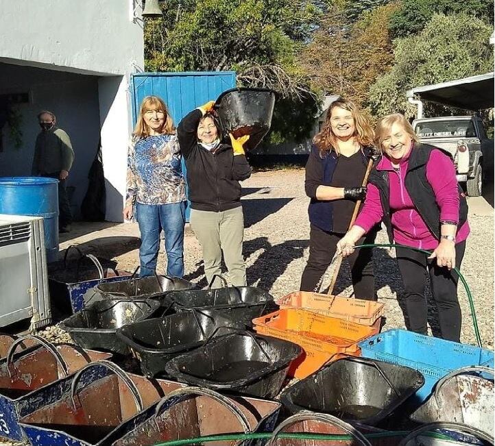 Este grupo de mujeres, que ha experimentado un crecimiento constante en los últimos seis años, ha logrado armar un porfolio de cuatro etiquetas de vino y expandir sus ventas a nivel nacional.