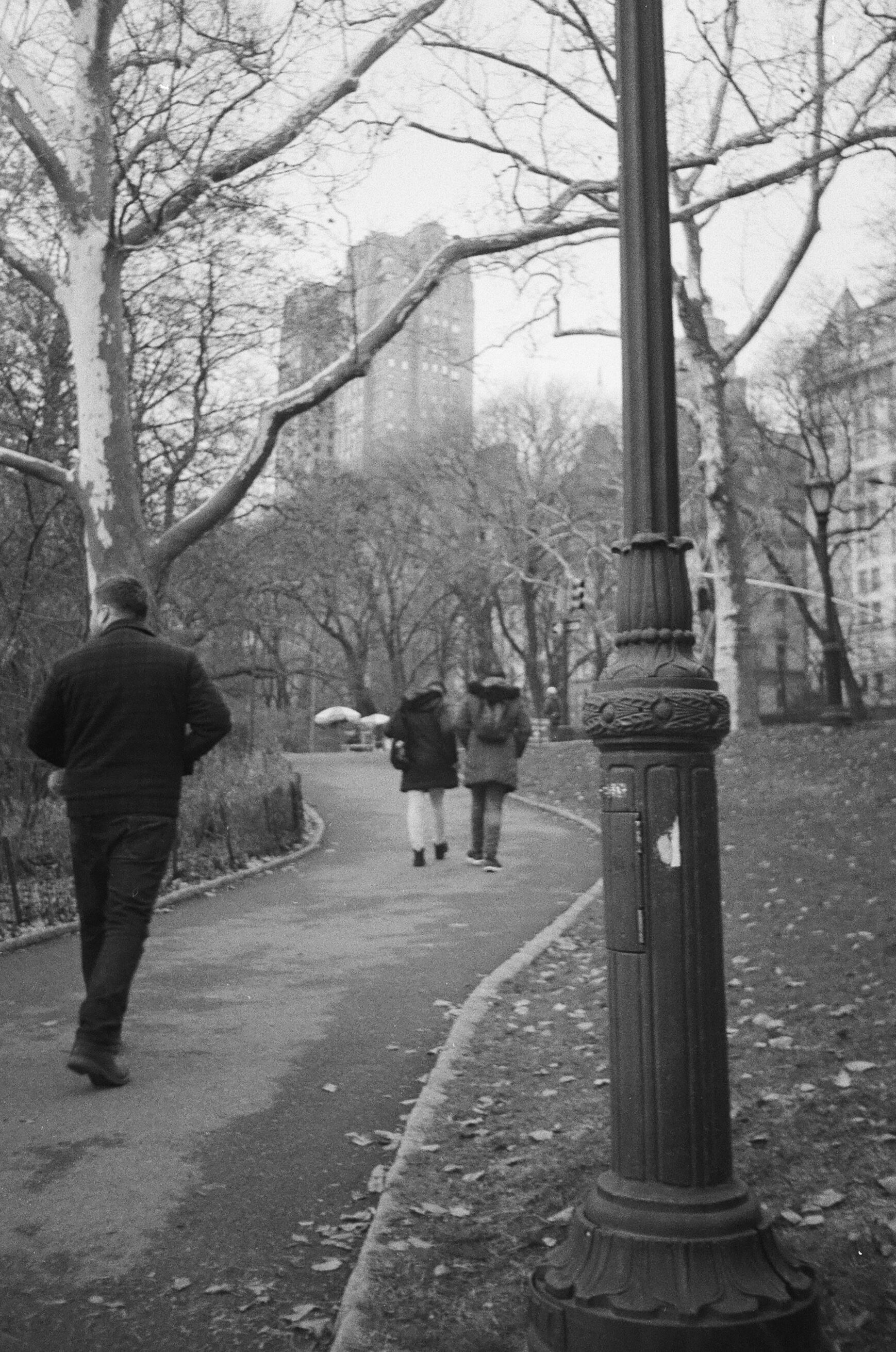 El Central Park, un clásico de Nueva York.