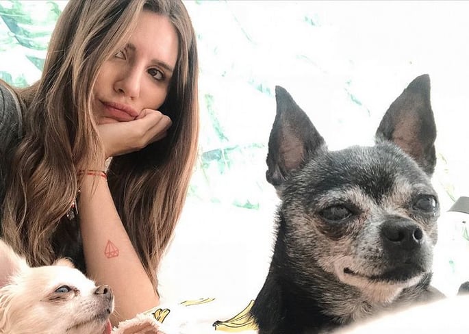 Cande Tinelli junto a sus mascotas