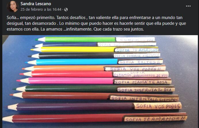 Emotivo: su nieta tiene TEA y le escribió tiernos mensajes en los lápices para “acompañarla” en clases. Foto: Facebook Sandra Lescano.