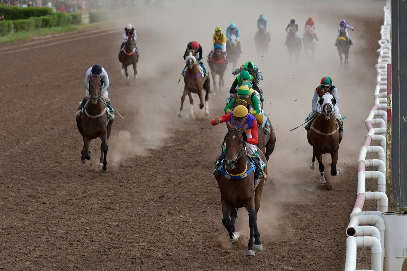 Y cruzaron el disco! Kennedy Back, el caballo que corrió bajo la monta de Joaquín Cano, se impusieron cómodamente. Foto : Orlando Pelichotti