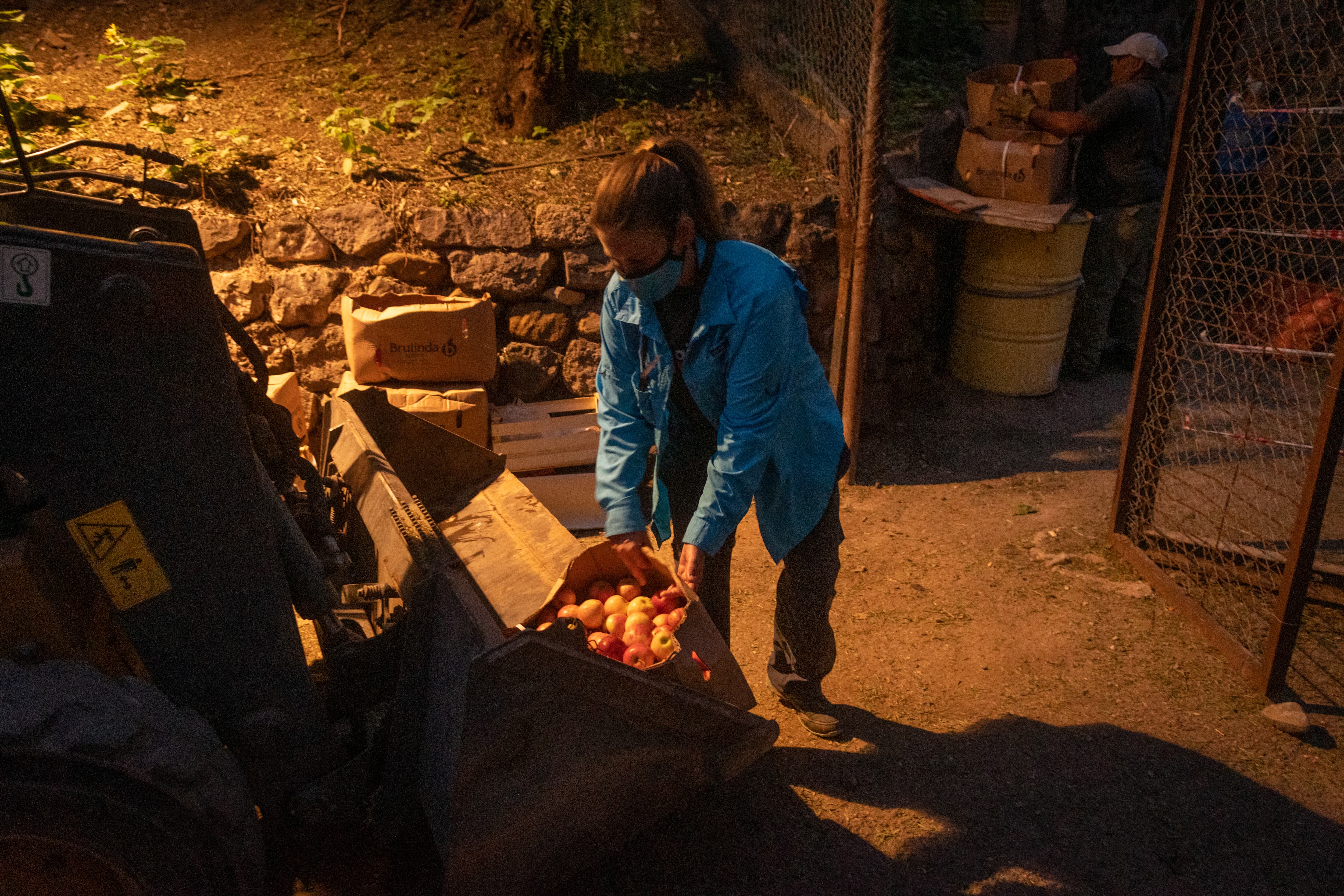 Karissa descargando la última caja de manzanas.