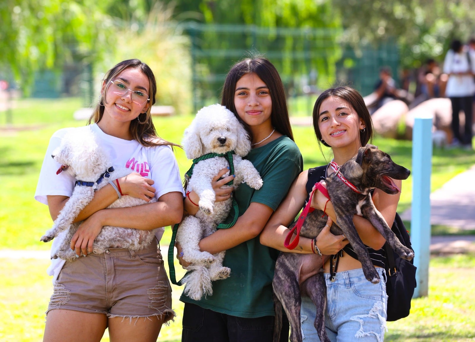 Stevanato: “Todos debemos colaborar en la tenencia responsable de mascotas”