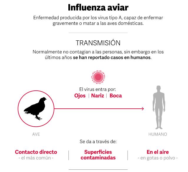 Cómo se contagia