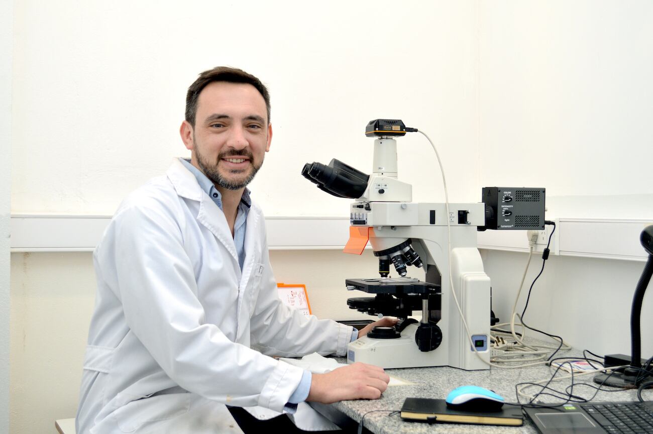 Los trabajos experimentales de Pablo Stringa y del equipo del CONICET que integra en La Plata fueron fundamentales para lograr el primer trasplante intestinal con donación en asistolia a nivel mundial. 
Foto: CONICET Fotografía / Rayelén Baridón