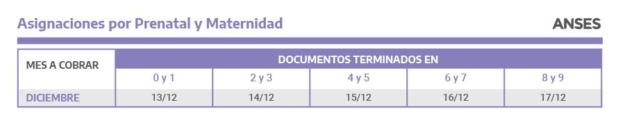 Calendario de pagos Anses diciembre 2021