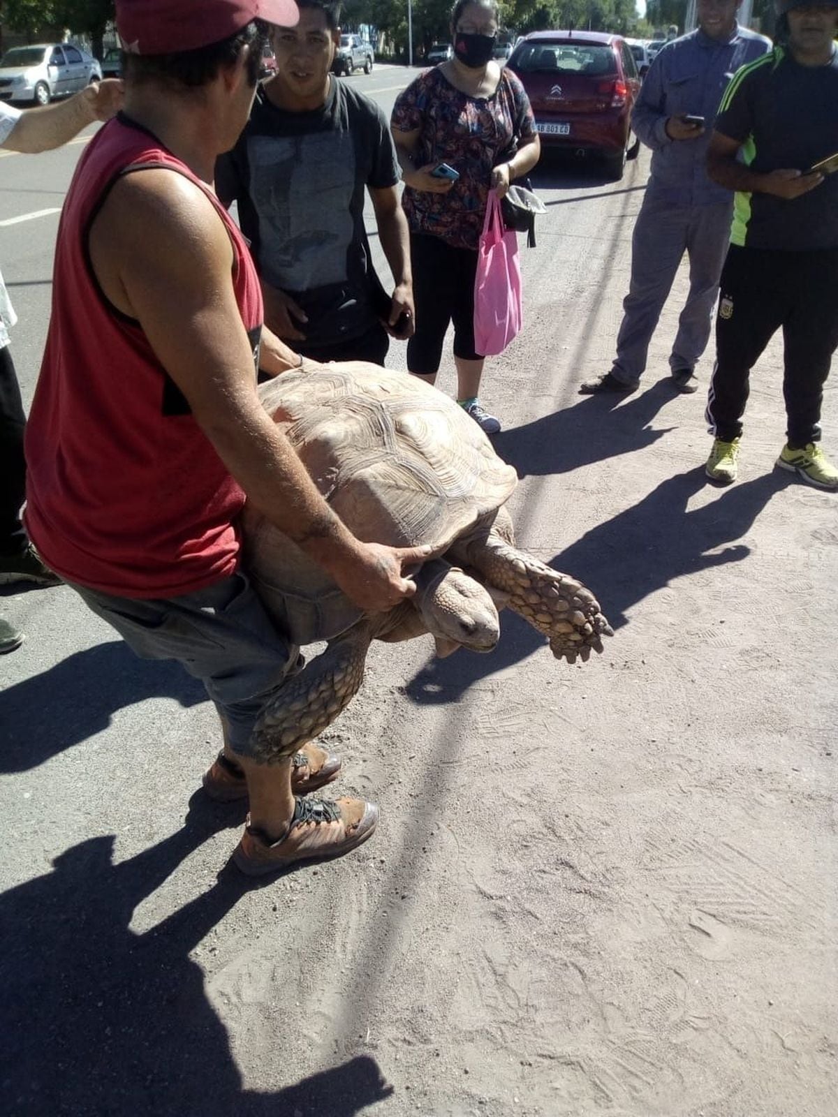 El dueño del enorme reptil no pudo comprobar la legalidad de su tenencia y las autoridades del Ministerio de Ambiente la secuestraron para llevarla al ecoparque y luego a Buenos Aires.