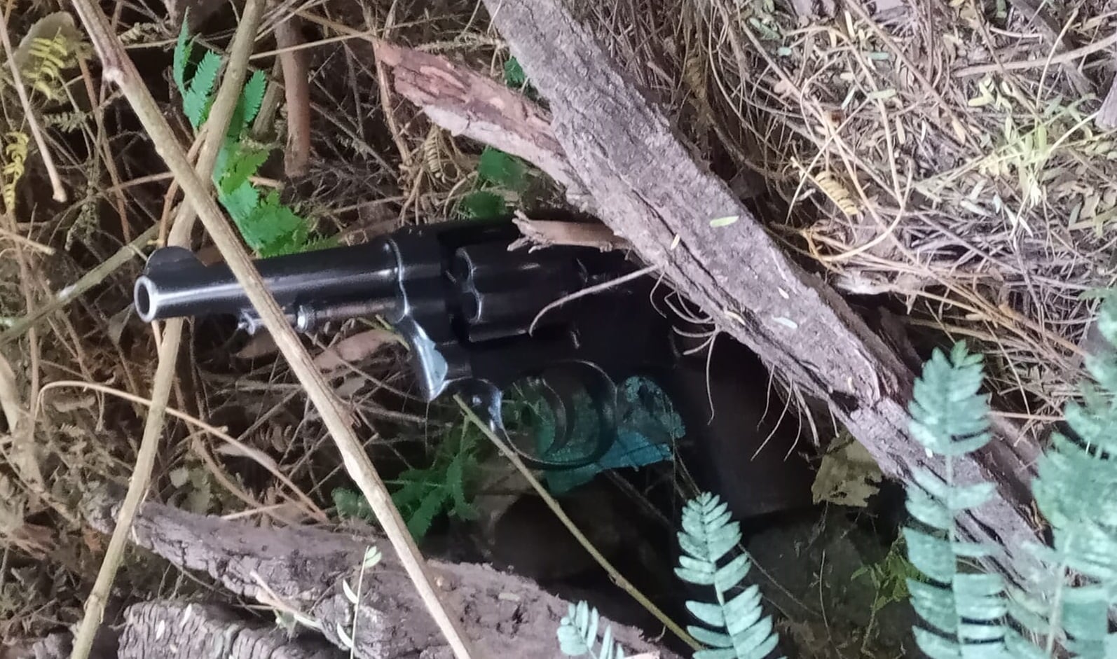 Los adolescentes habían escondido dos revólveres entre la maleza y una acequia. Foto: Ministerio de Seguridad