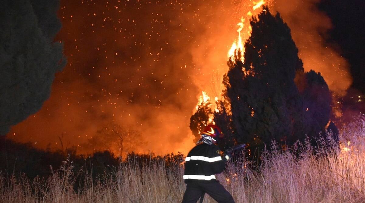 Incendios que se extienden por la Italia meridional. En Calabria y Sicilia. Gentileza / noticiasdelmundo.news