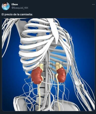 La reacción de los usuarios al ver la nueva camiseta argentina