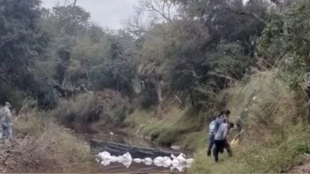 Rastrillaje en Chaco. Foto La Nación