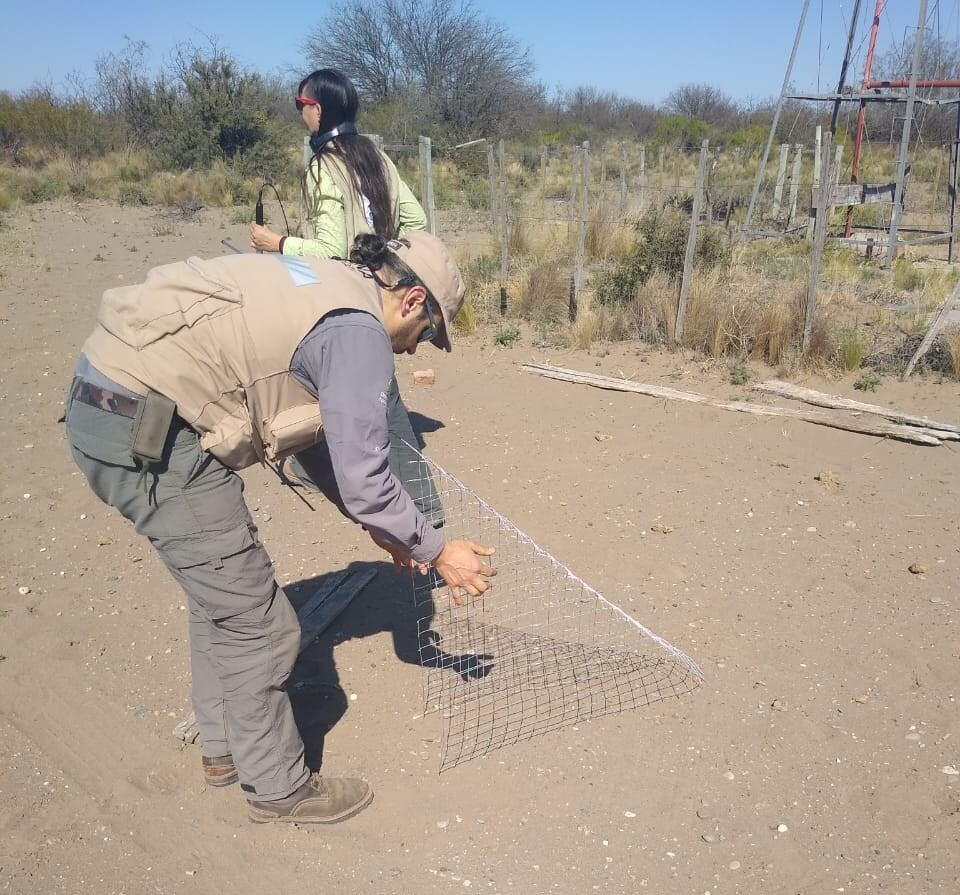 Para los productores mendocinos es obligatorio tener rampas de escape en sus reservorios de agua para evitar el ahogamiento de especies silvestres. Foto: Dirección de Recursos Naturales y Renovables.