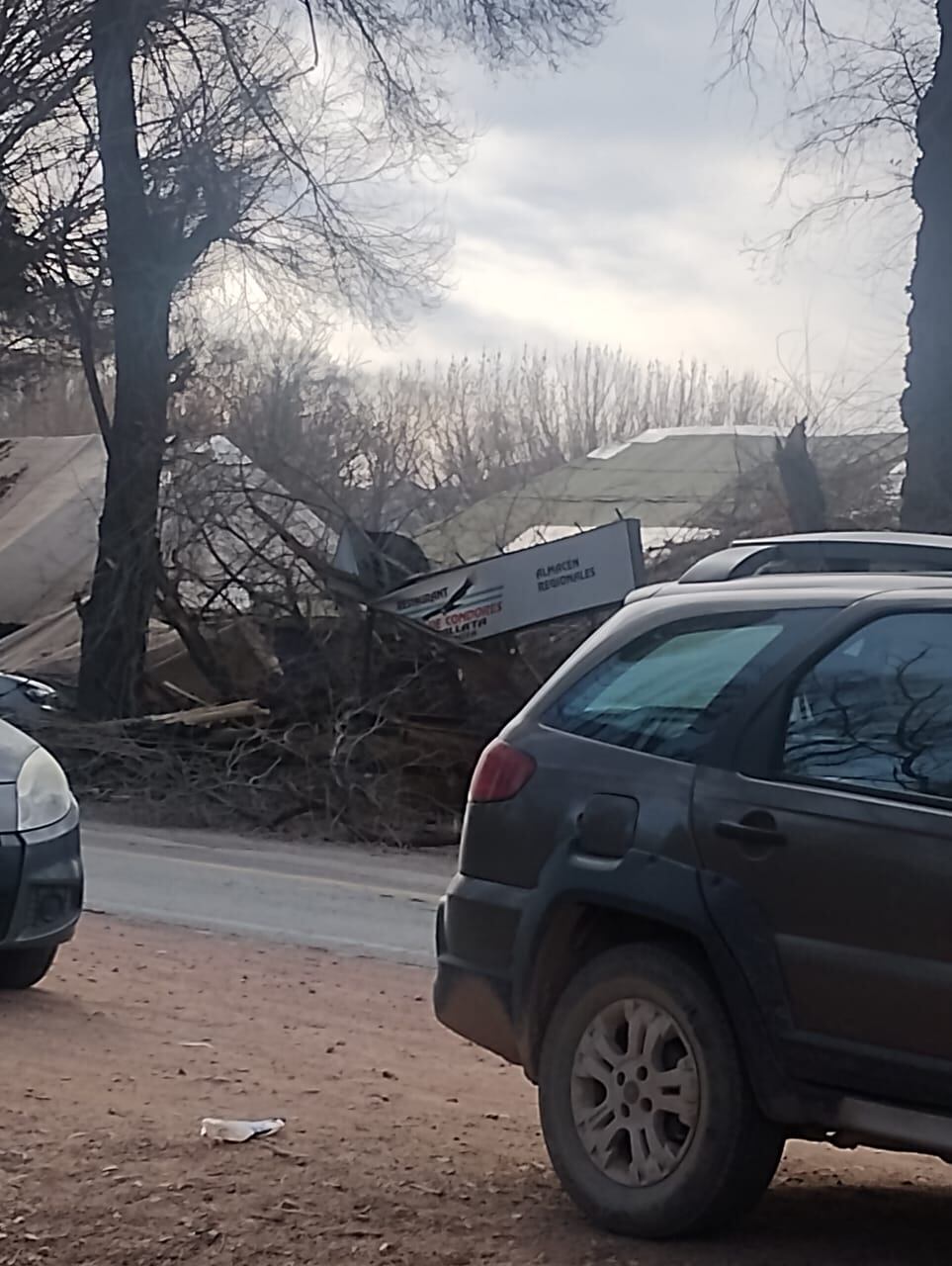 Imágenes del destrozo que dejó la caida del árbol.