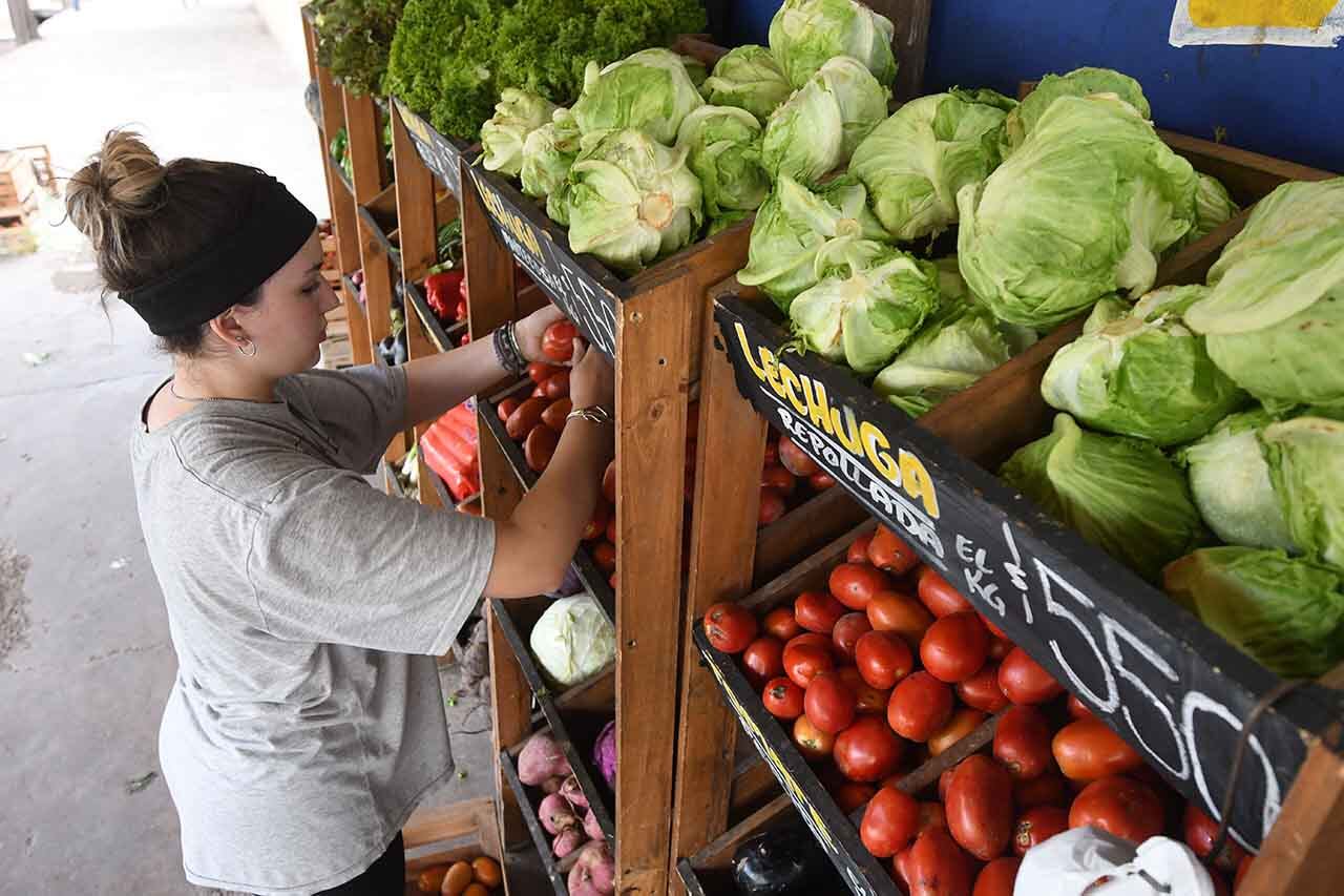 En una verduleria de Godoy Cruz, Luna prepara la verdura para su venta.
Foto: José Gutierrez/ Los Andes 