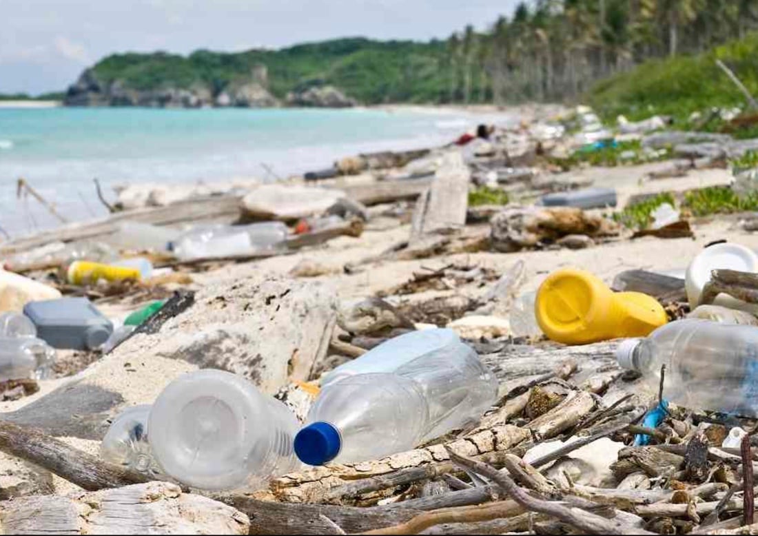 El impacto del plástico no solo afecta a los ecosistemas, sino también a la salud humana.