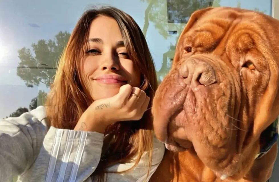 Anto Roccuzzo mostró al nuevo perro de la familia