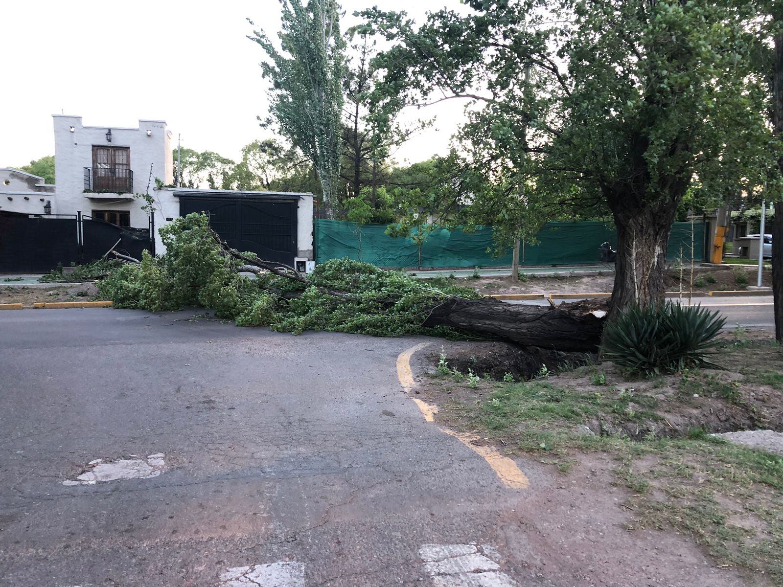 Suspenden las clases para el viernes ante el pronóstico de Zonda “catastrófico”. Foto: Archivo Los Andes