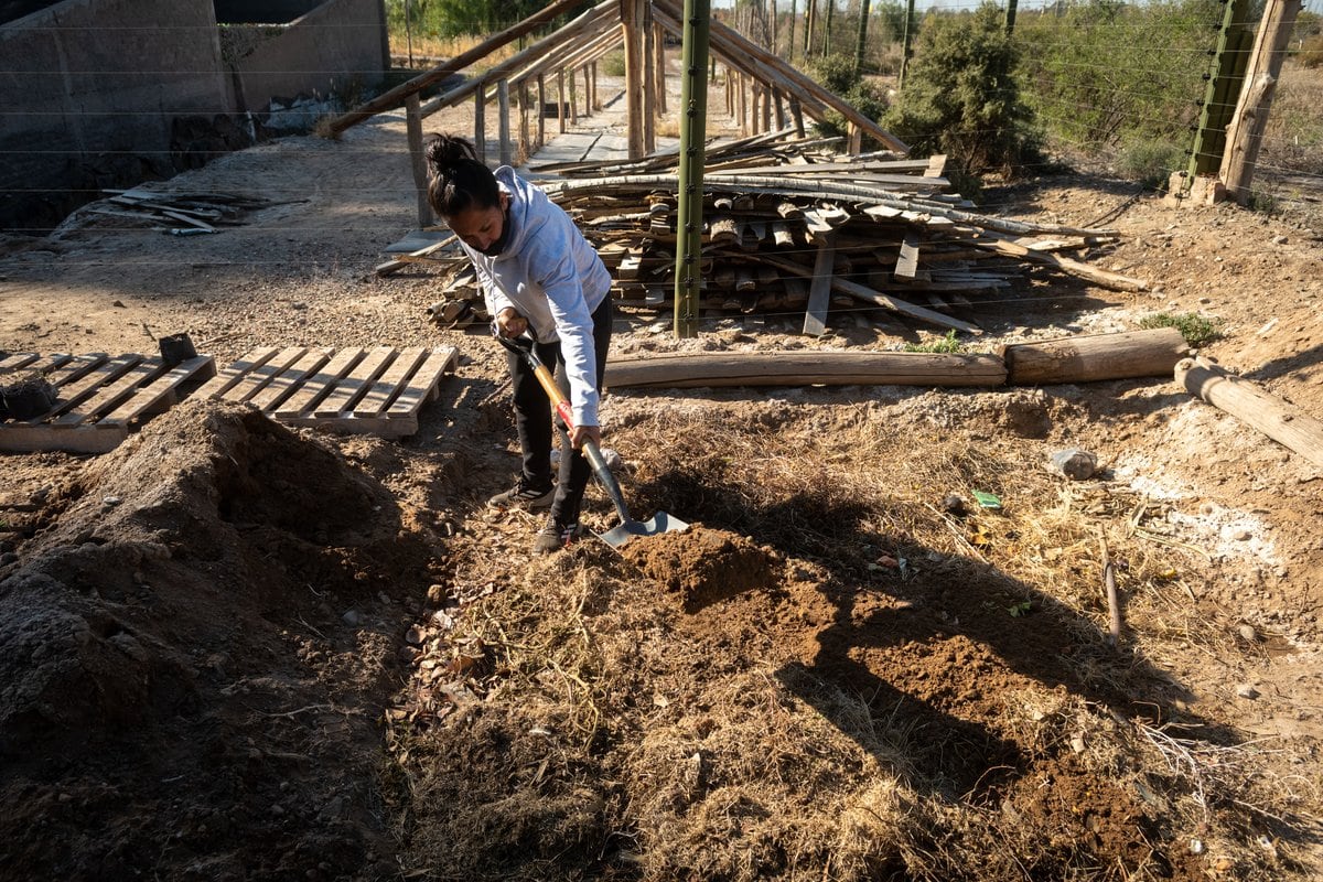 Soledad Nuñez realizando compost en la granja.