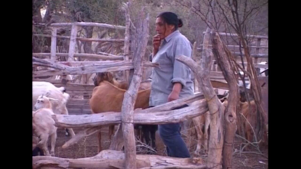 Crianceros de El Puerto, Lavalle.