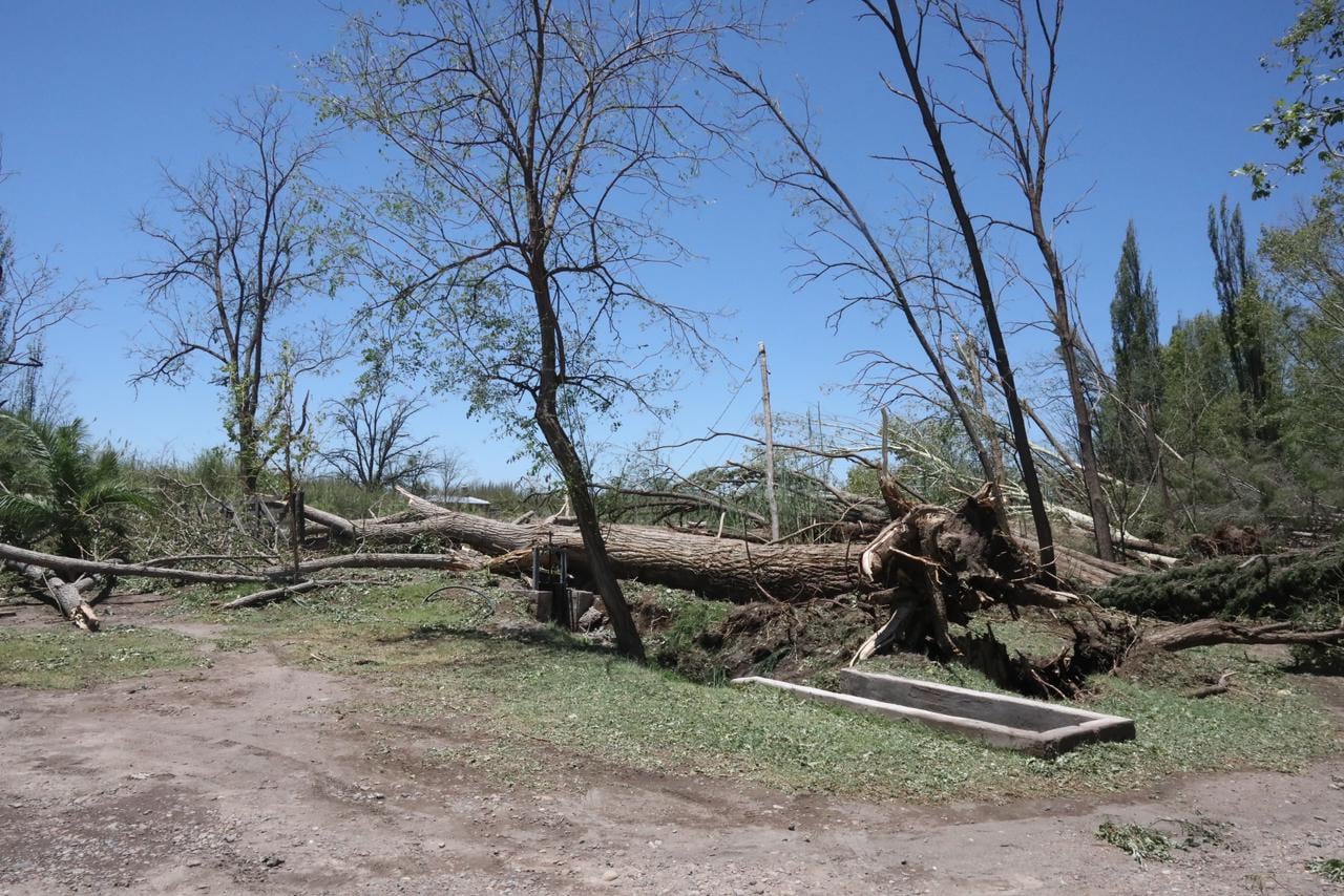 Así trabajó Irrigación para evitar desbordes tras la tormenta en el Sur