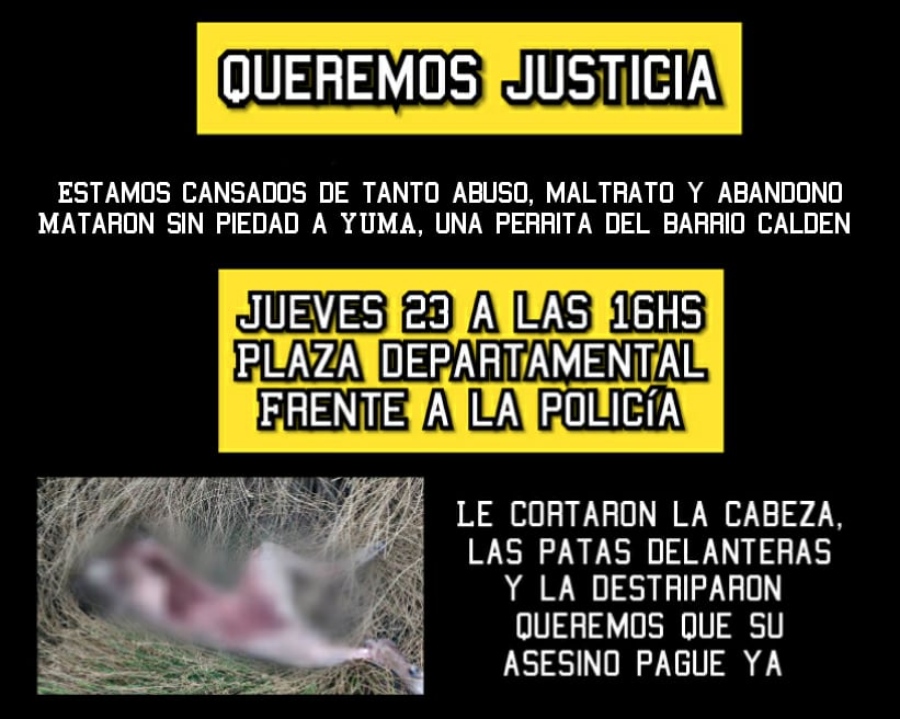 Los vecinos idignados piden justicia por Yuma