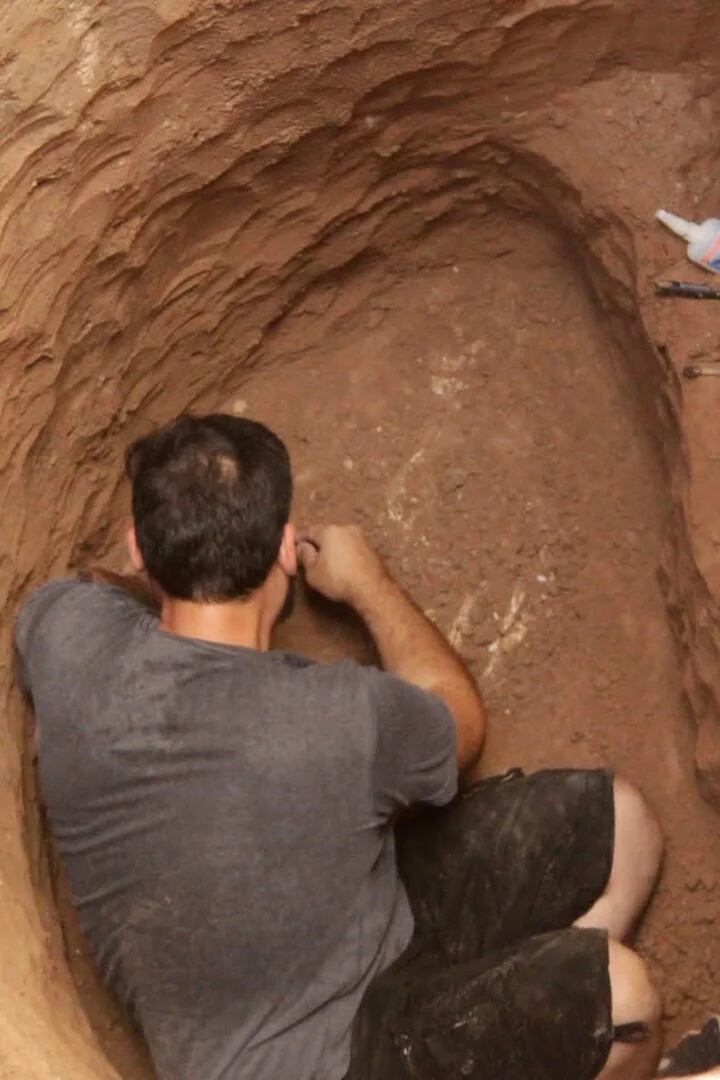 El momento exacto de la excavación y el hallazgo.