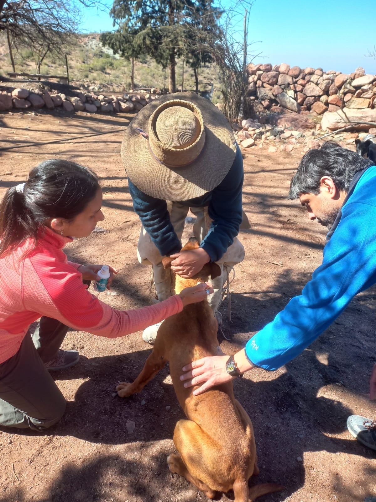 Rocío y Pablo junto a un puestero de Godoy Cruz en la campaña de vacunación y desparacitación realizada en septiembre. Foto: equipo de investigación Conicet Mendoza.