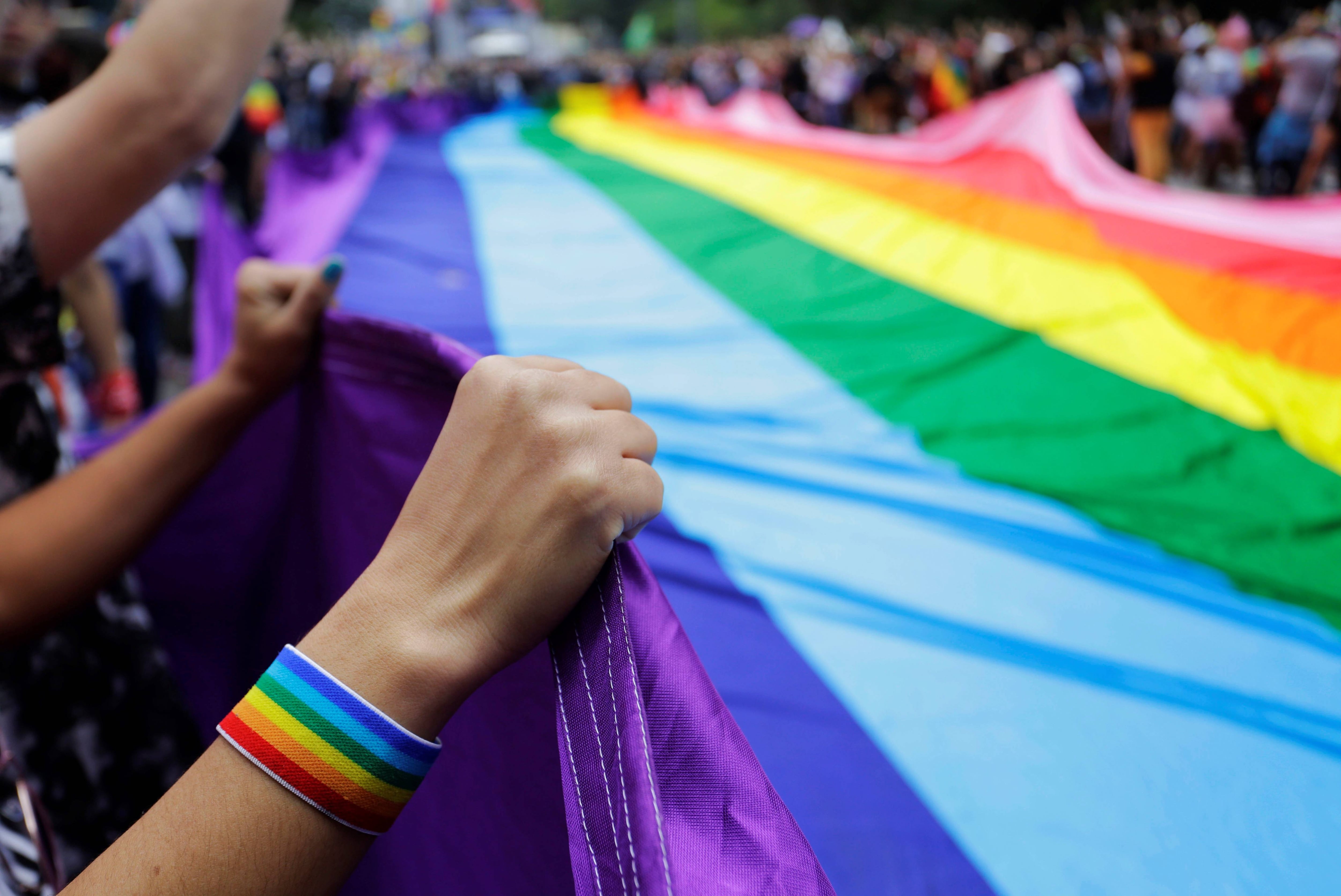 Cada 28 de junio se conmemora el Día del Orgullo LGBT - 