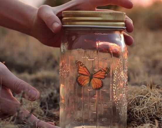 Esto significa soñar con mariposas