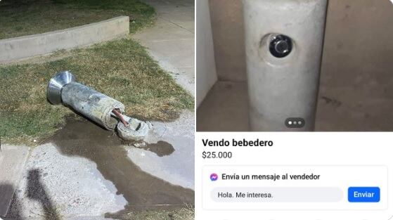 Los insólitos robos en el barrio Procrear de Maipú