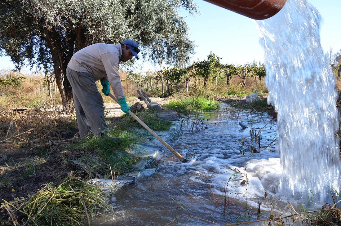 Mendoza tiene una disponibilidad de agua un 30% menor al promedio histórico. - Los Andes