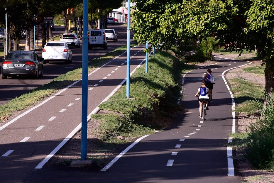 Se pueden ver las ciclovías existentes y proyectadas.

