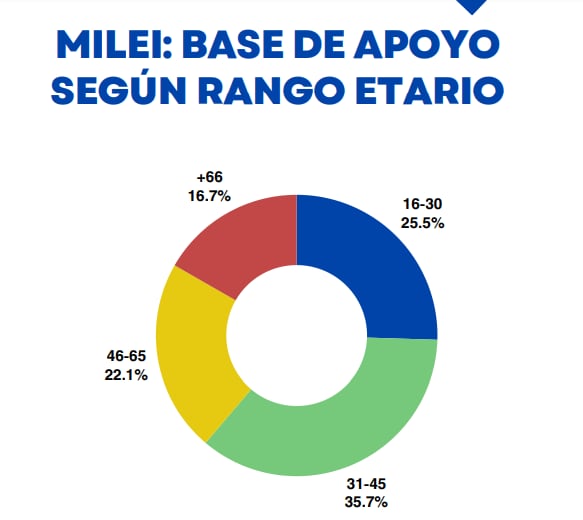 Las personas con más de 30 años y hasta 45 años son quienes más eligen a Javier Milei. Foto: Captura.