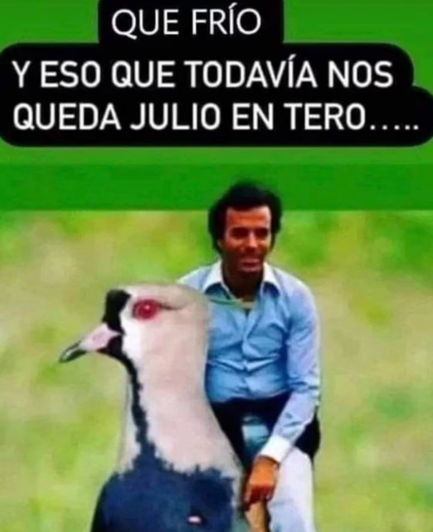 Ya son virales los memes por la llegada del mes de julio.