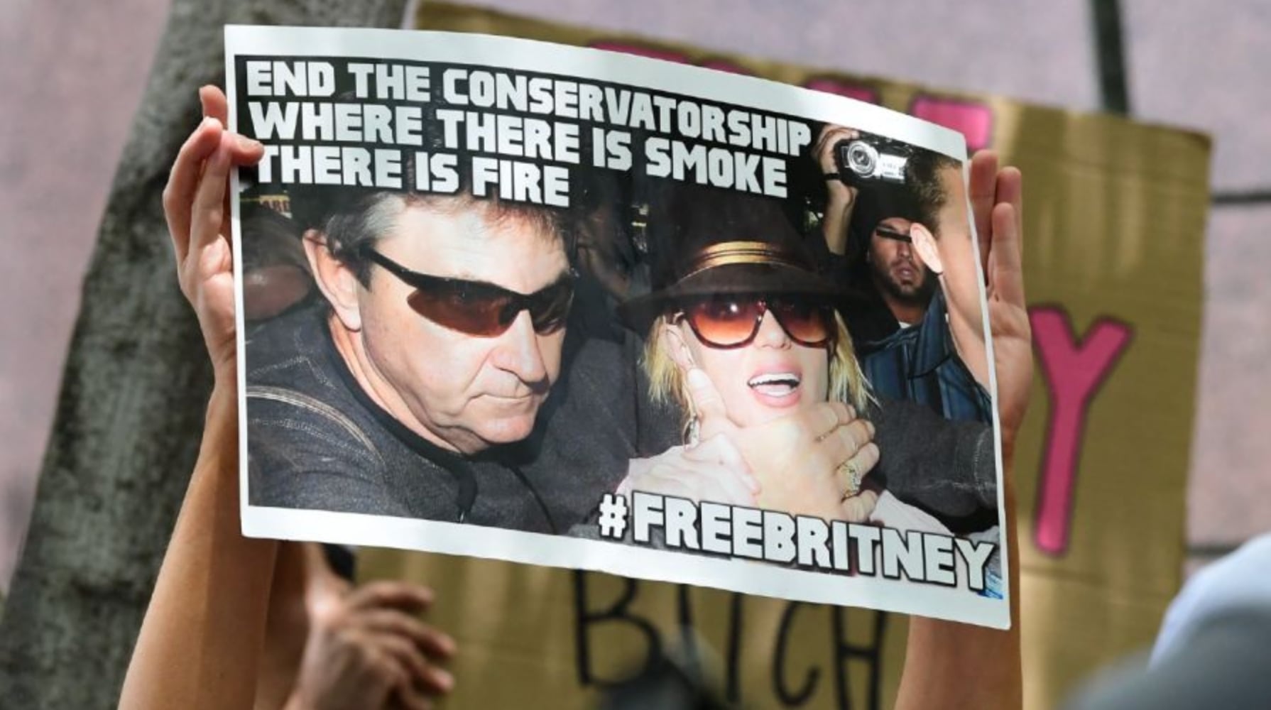 Algunos de los carteles que exigen por la libertad de Britney.