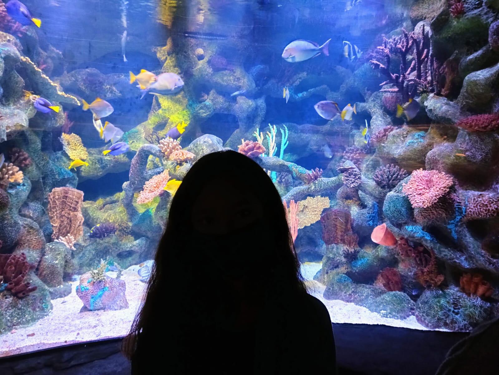 Caro contemplando un luminoso acuario. Foto tomada por Griselda.