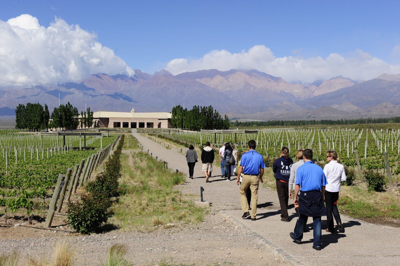 Las bodegas mendocinas, un clásico entre los turistas. Foto: Prensa Gobierno de Mendoza