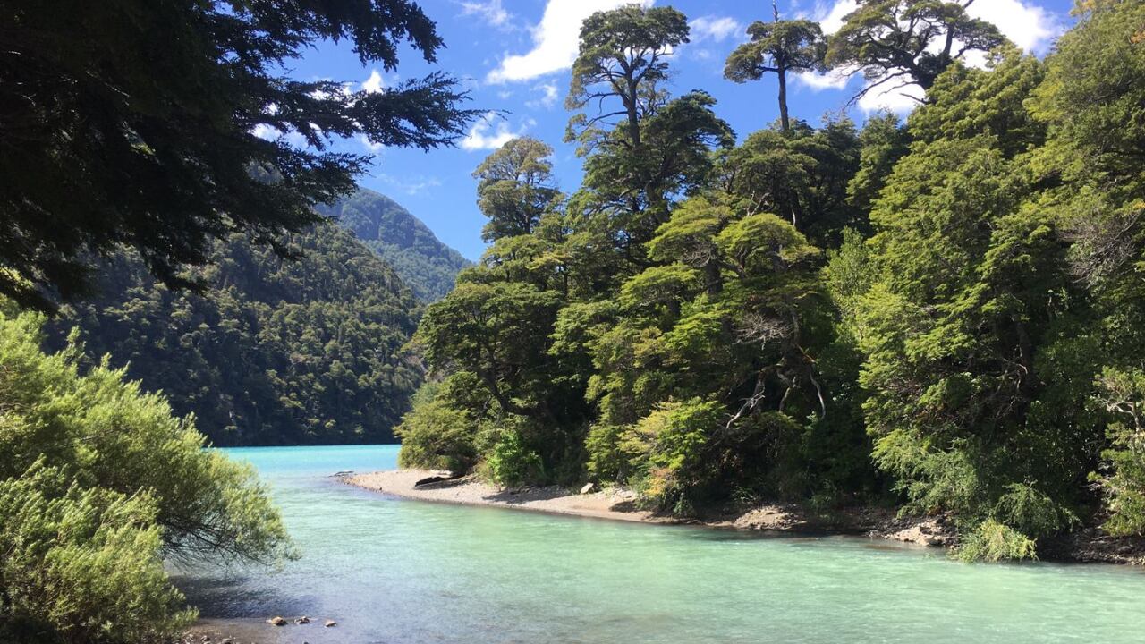 Puerto Blest: el increíble cruce a Chile por lagos en medio del paraíso y que marcó al Che Guevara. Foto: Twitter @nacho_delarosa