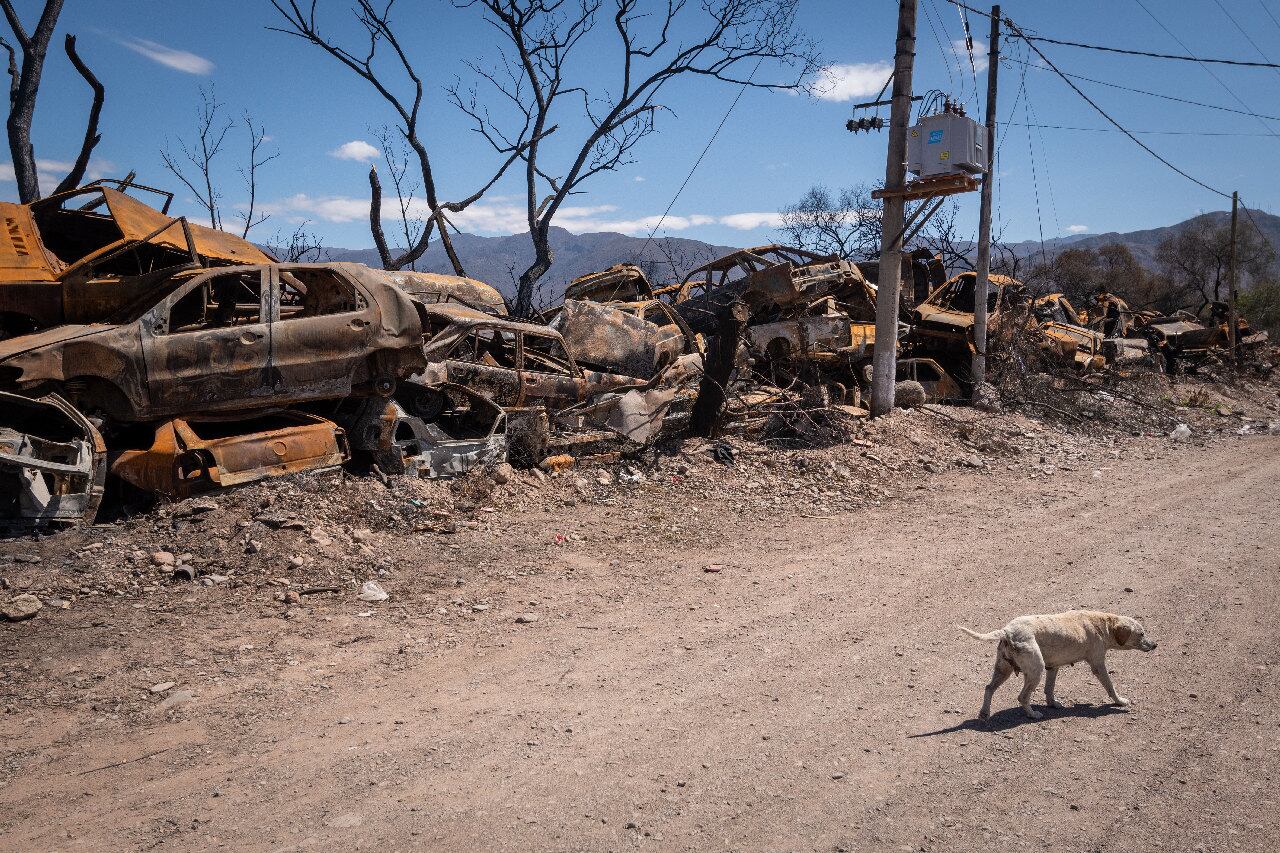 Casi la totalidad del predio, los vehículos secuestrados y las zonas aledañas permanecen en cenizas tras la acción del fuego. | Foto: Ignacio Blanco / Los Andes