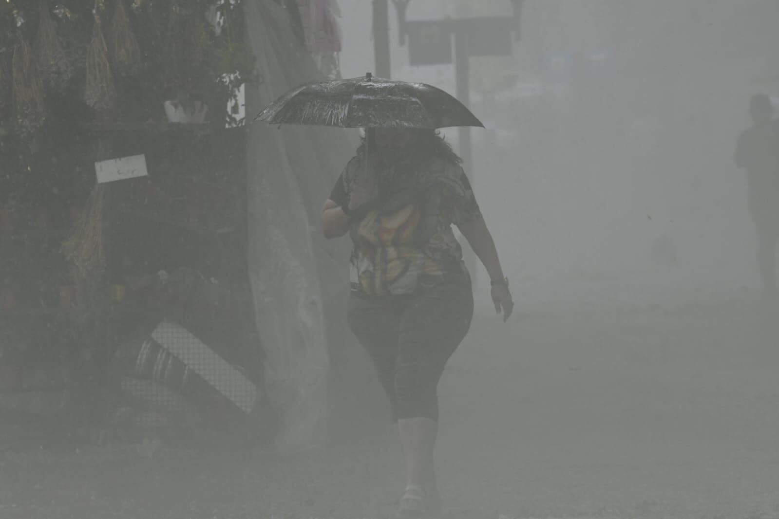 El granizo anegó las calles de Mendoza. Foto. Orlando Pelichotti / Los Andes