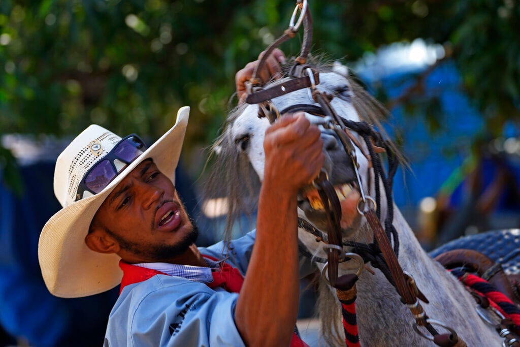 Un hombre batalla para ponerle una brida a un caballo durante la tradición religiosa "Fiesta del Divino Espíritu Santo", en la zona rural de Pirenópolis, en el estado de Goias, Brasil, el sábado 28 de mayo de 2022. (AP Foto/Eraldo Peres)