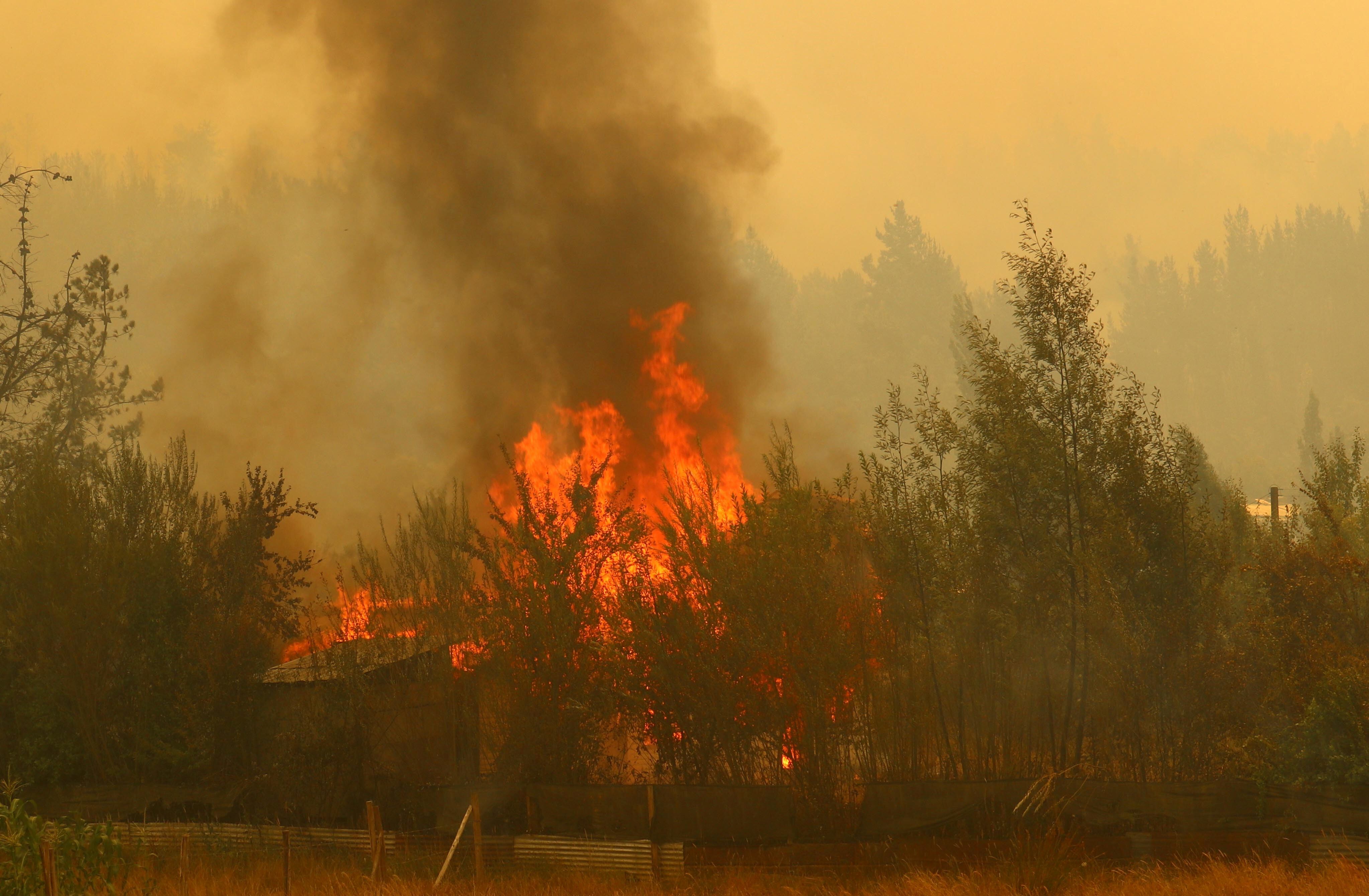 Incendios forestales en Chile