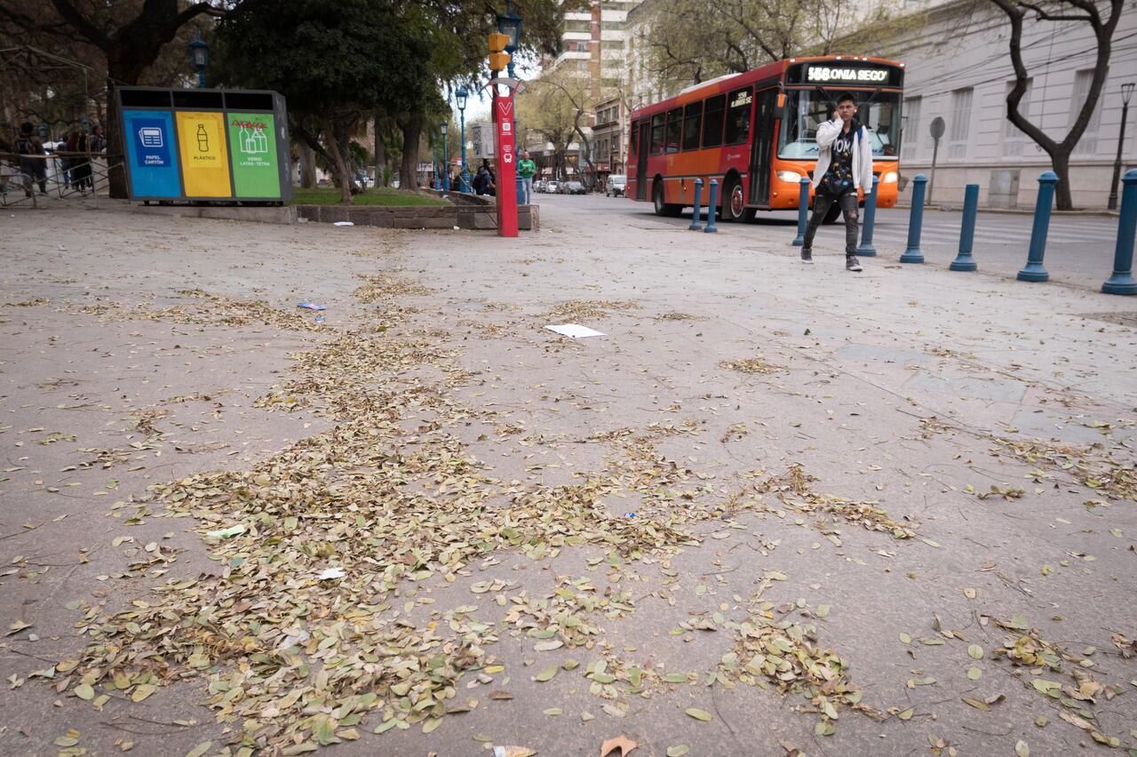 Para hoy hay pronóstico de Zonda en altura para algunas zonas de Mendoza


Foto: Ignacio Blanco / Los Andes

