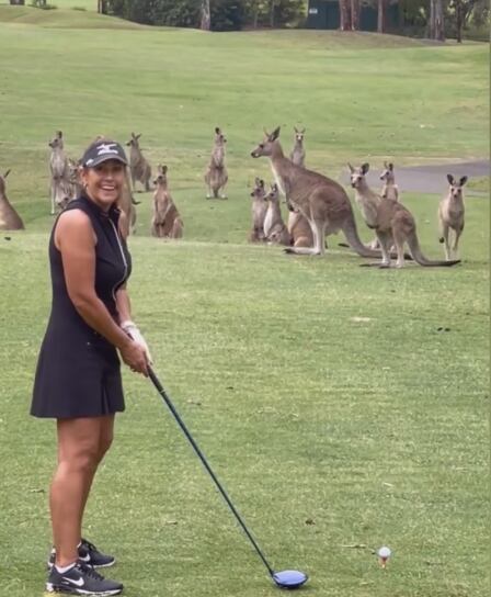 Canguros sorprendieron a una golfista.