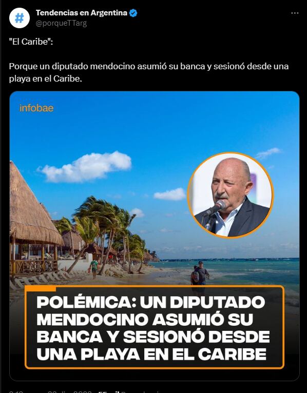 El diputado mendocino que sesionó desde el Caribe es tendencia en las redes y no faltaron los memes. Foto: Captura X