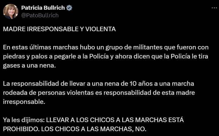 La titular de Seguridad dijo que "la responsabilidad de llevar a una nena de 10 años a una marcha rodeada de personas violentas es de esta madre irresponsable".