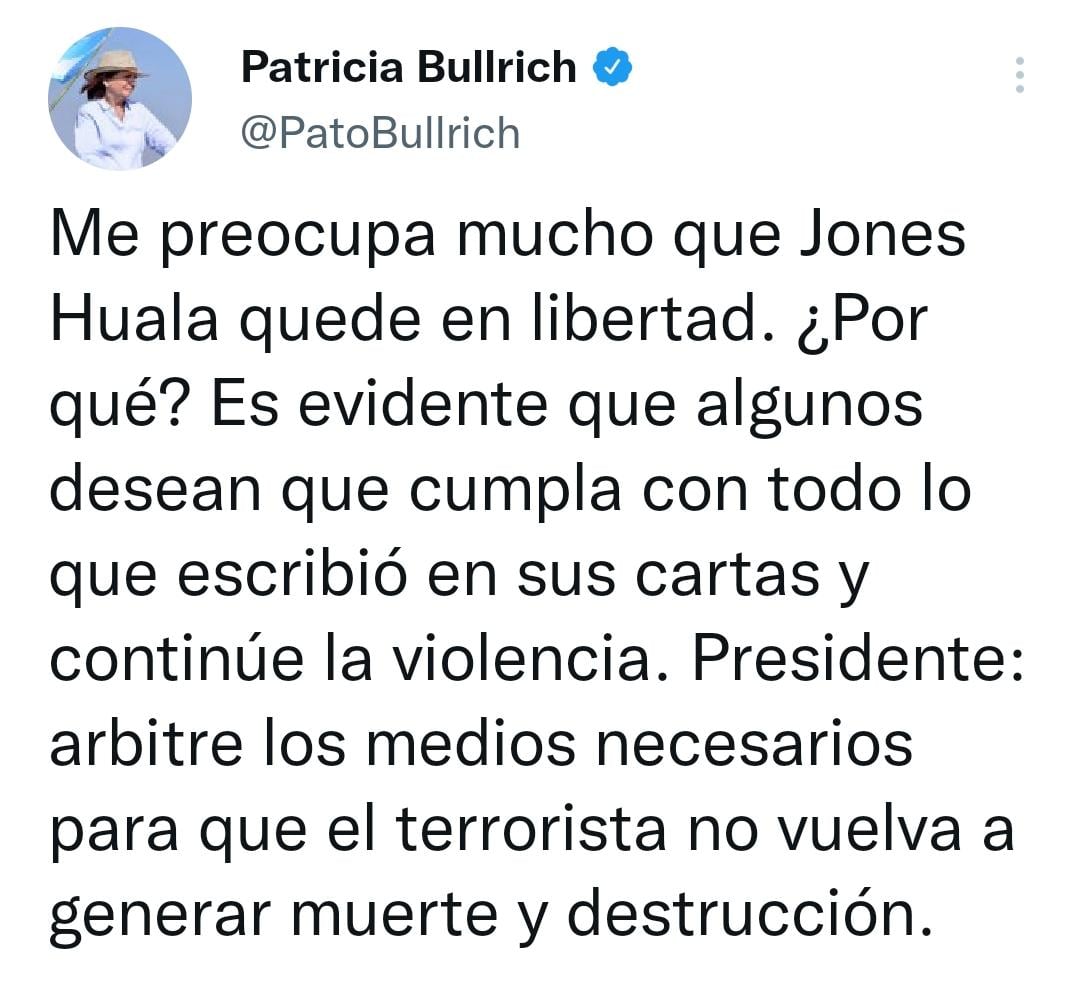 Patricia Bullrich opinó sobre la liberación de Jones Huala / Archivo