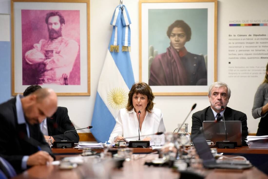 La presidenta de la Comisión de Juicio Político, Carolina Gaillard (Foto: HCDN)